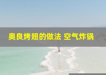 奥良烤翅的做法 空气炸锅